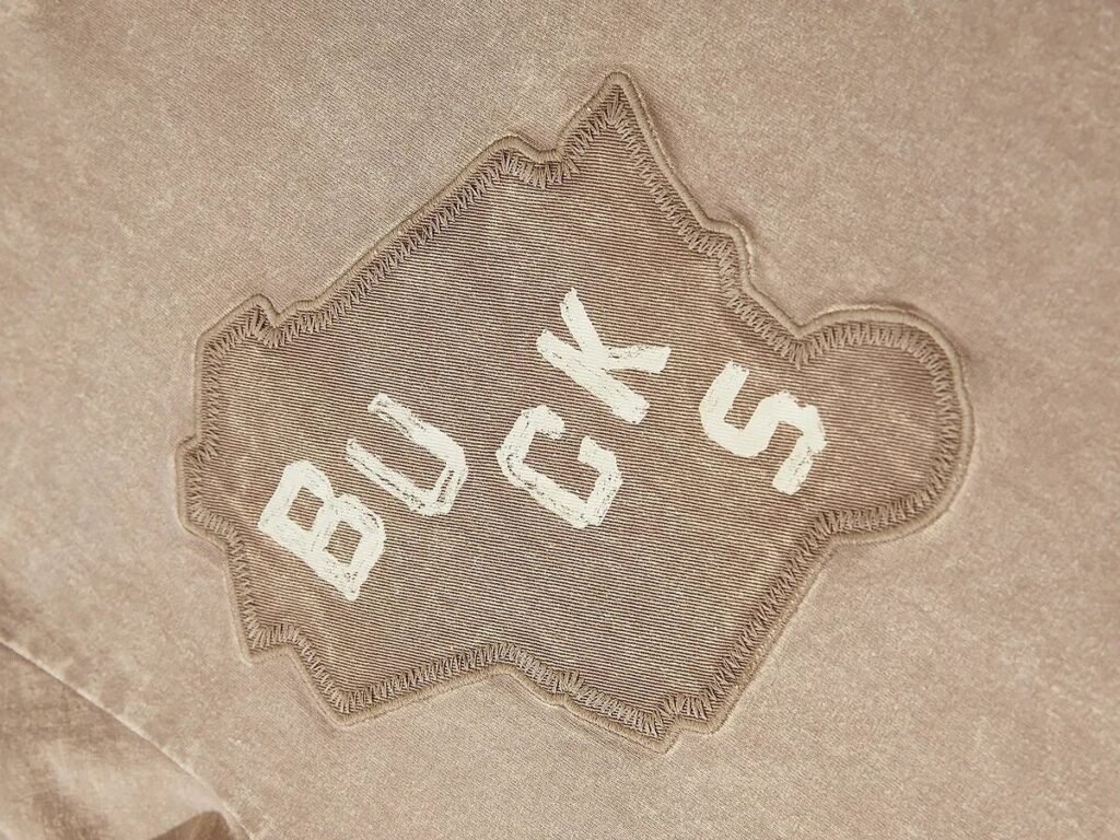 Appliqué Embroidery (Embroidery Applique)