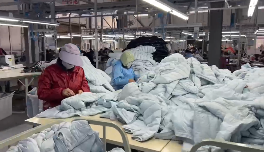 Vevo apparel QC